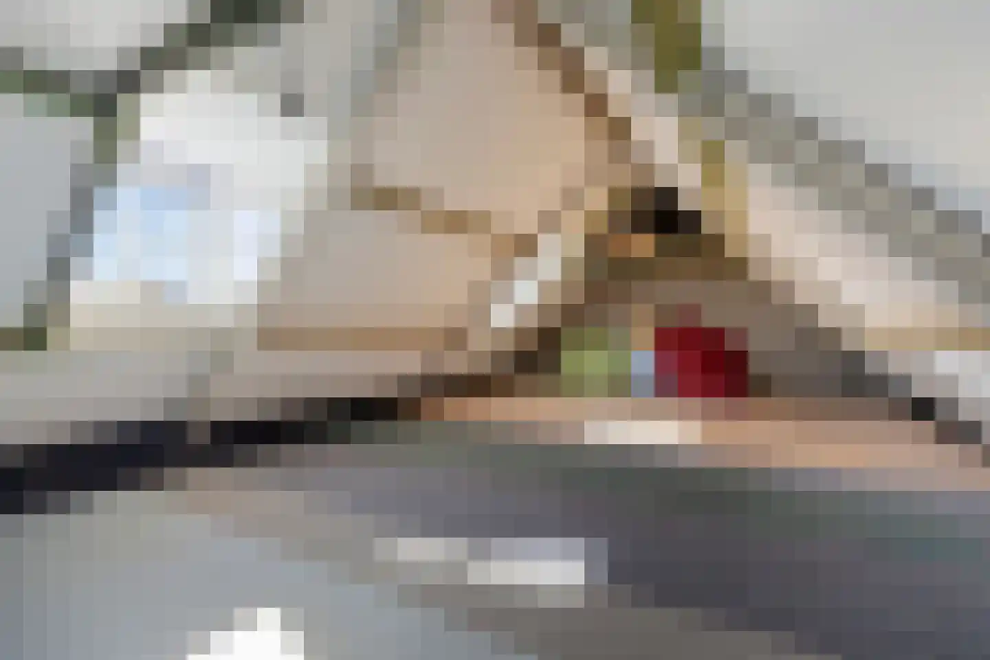 Spijt 9 Sint-Michielsgestel thumbnail 23