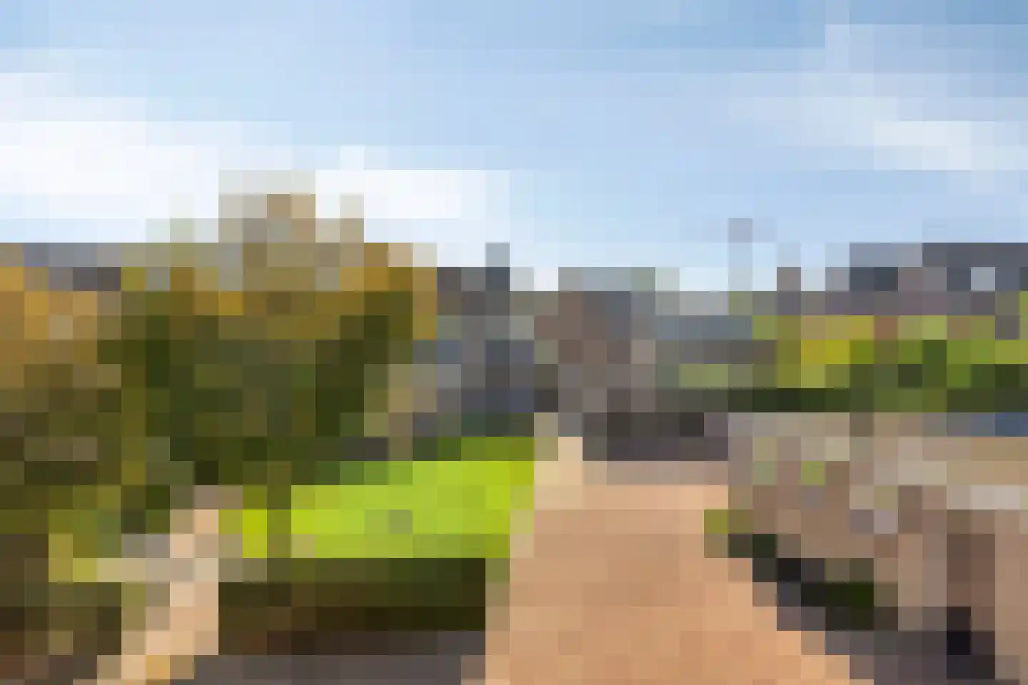 Spijt 9 Sint-Michielsgestel thumbnail 25