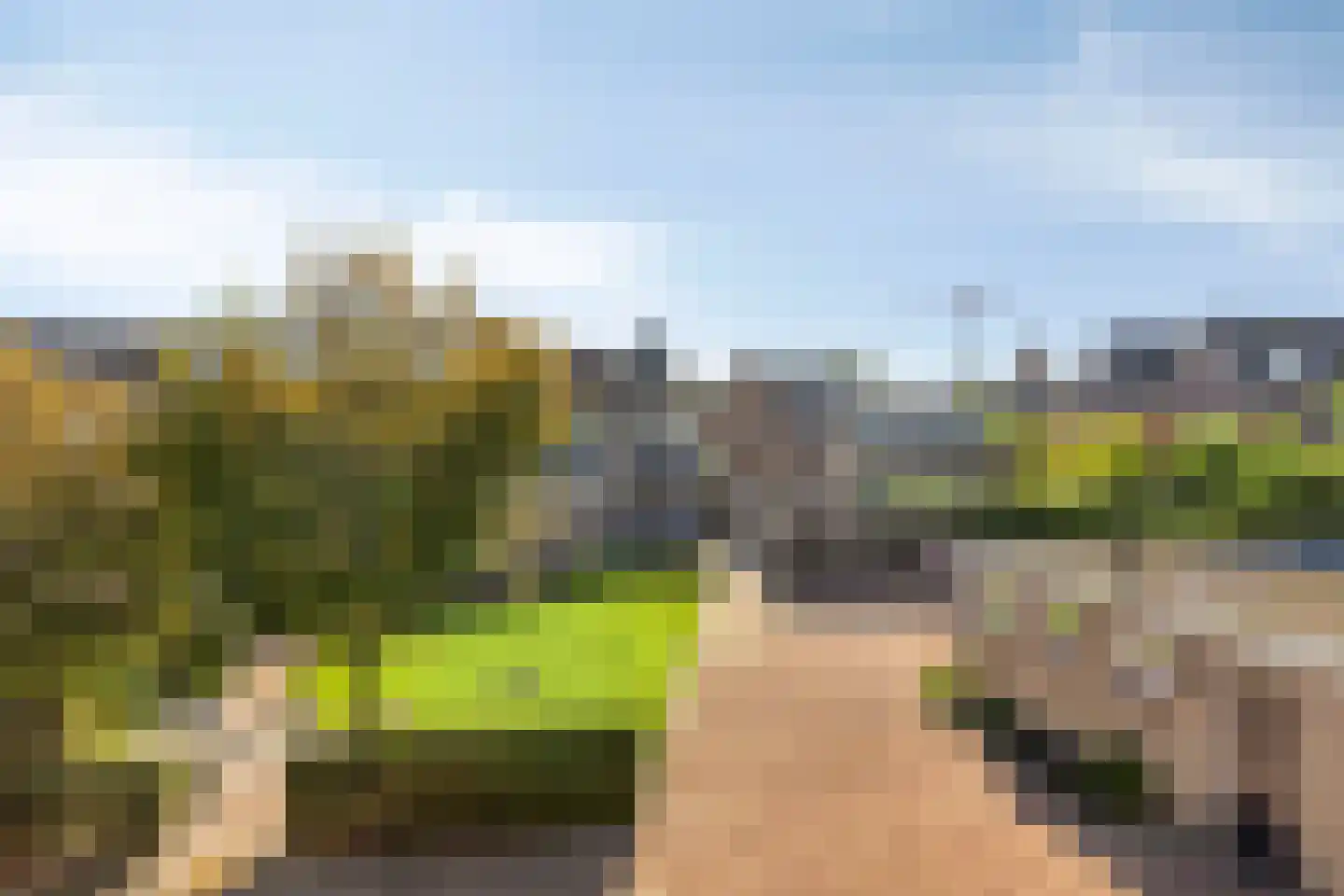 Spijt 9 Sint-Michielsgestel thumbnail 4