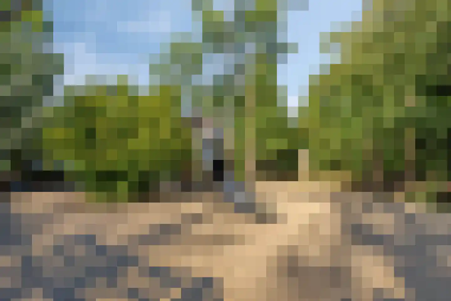 Spijt 9 Sint-Michielsgestel thumbnail 46