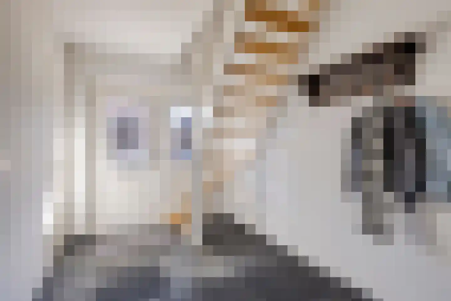 Spijt 9 Sint-Michielsgestel thumbnail 5
