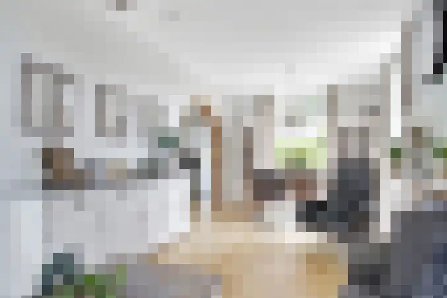 Spijtbroeksburgwal 20 Enkhuizen thumbnail 8
