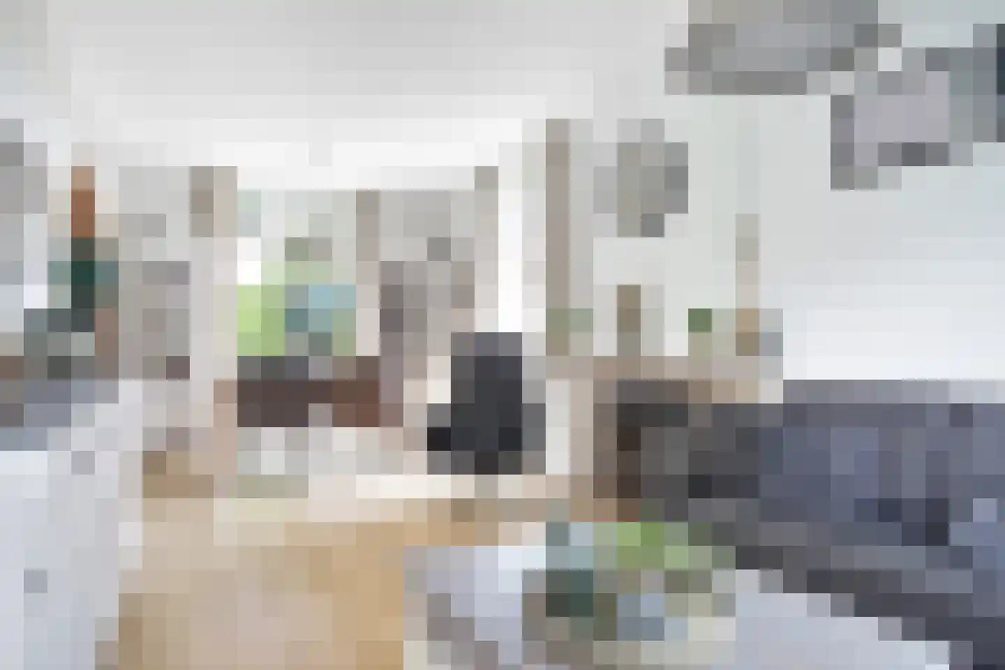 Spijtbroeksburgwal 20 Enkhuizen thumbnail 9