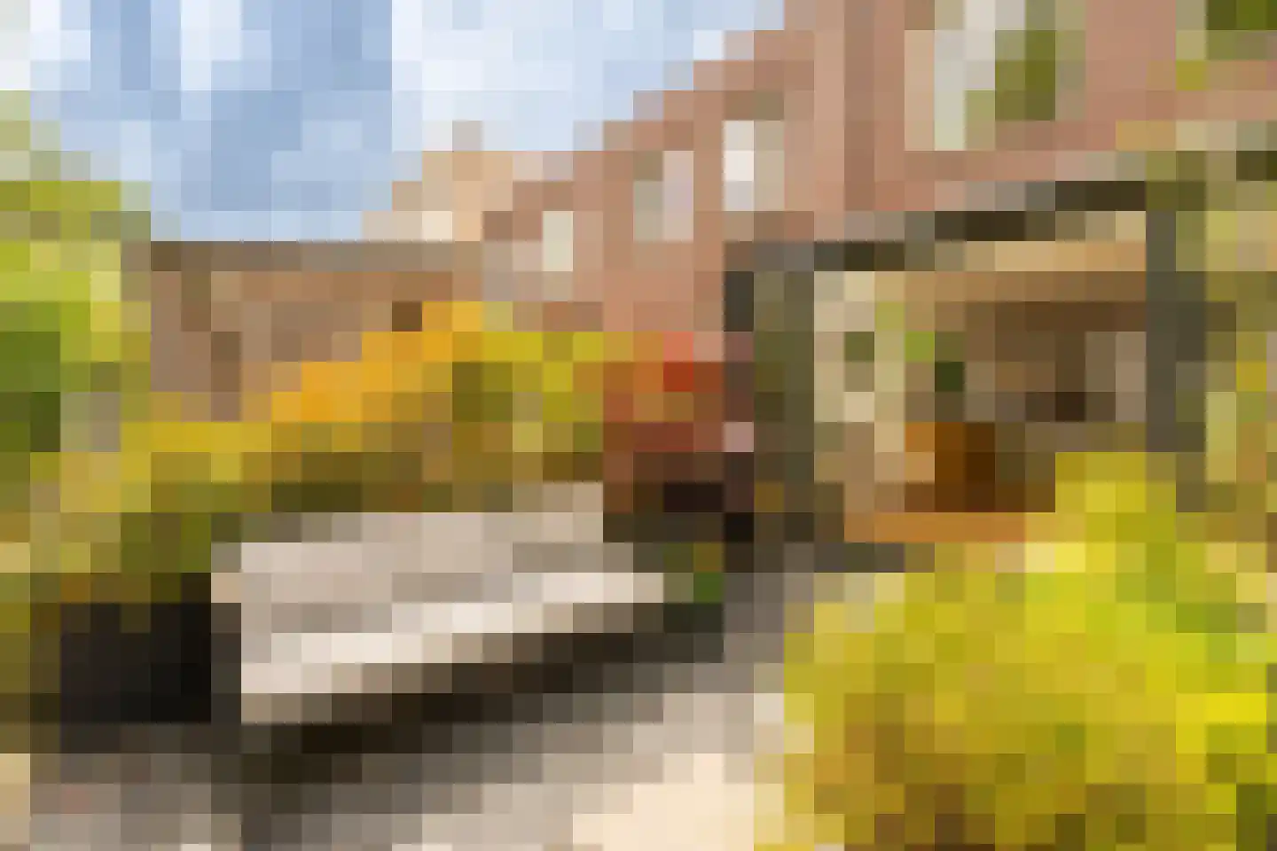 Spijtellaantje 7 Amsterdam thumbnail 12