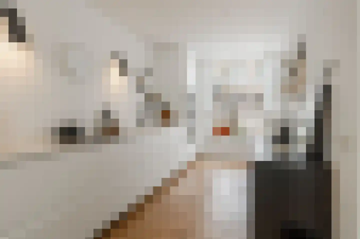 Spijtellaantje 7 Amsterdam thumbnail 16