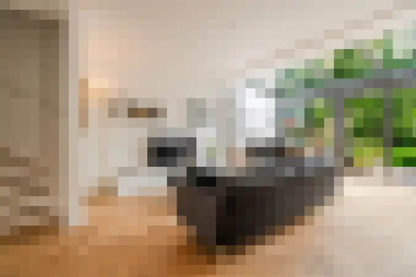 Spijtellaantje 7 Amsterdam thumbnail 21