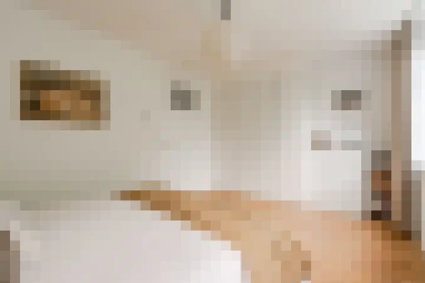 Spijtellaantje 7 Amsterdam thumbnail 29