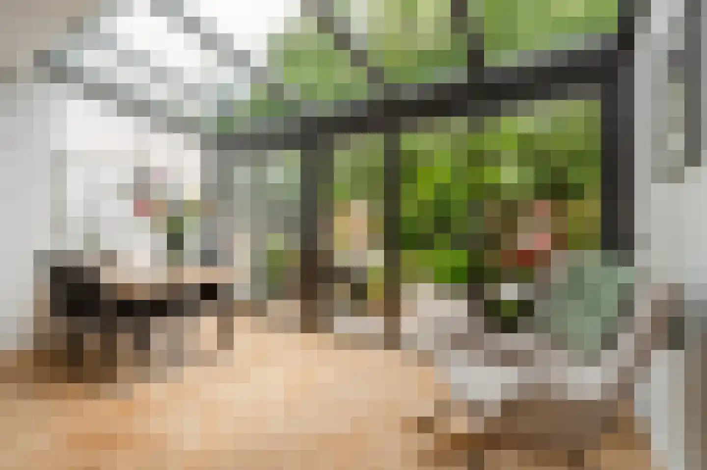 Spijtellaantje 7 Amsterdam thumbnail 6