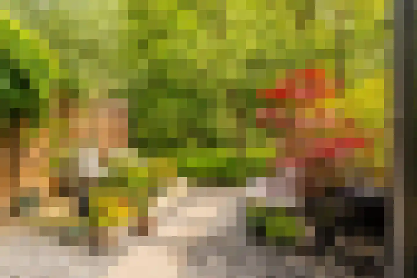 Spijtellaantje 7 Amsterdam thumbnail 9