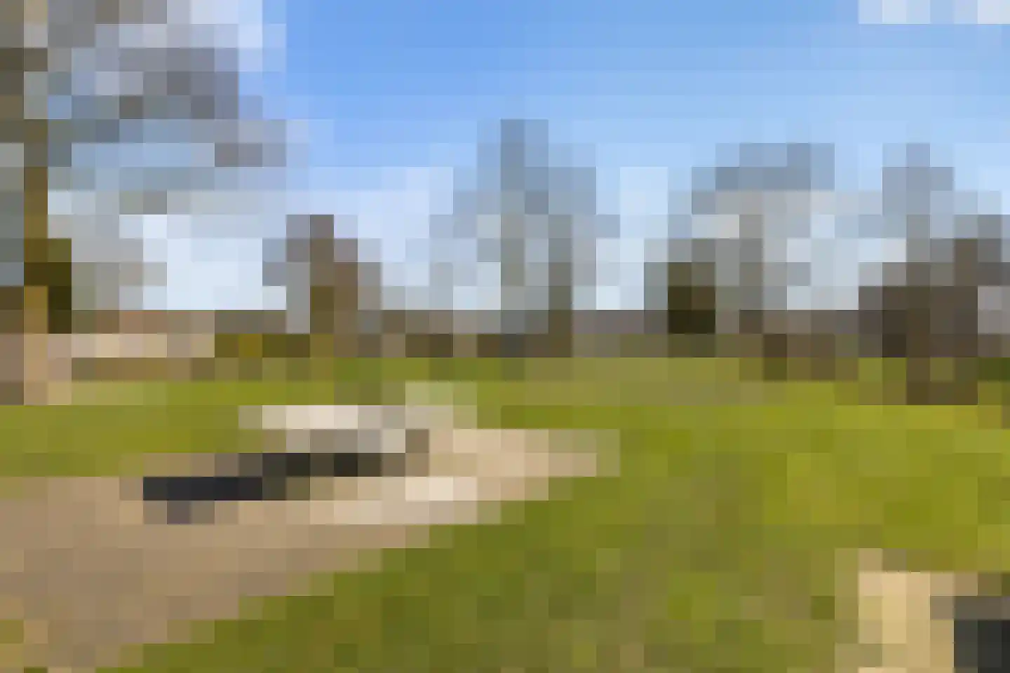 Spikhorst 45 a Renswoude thumbnail 33