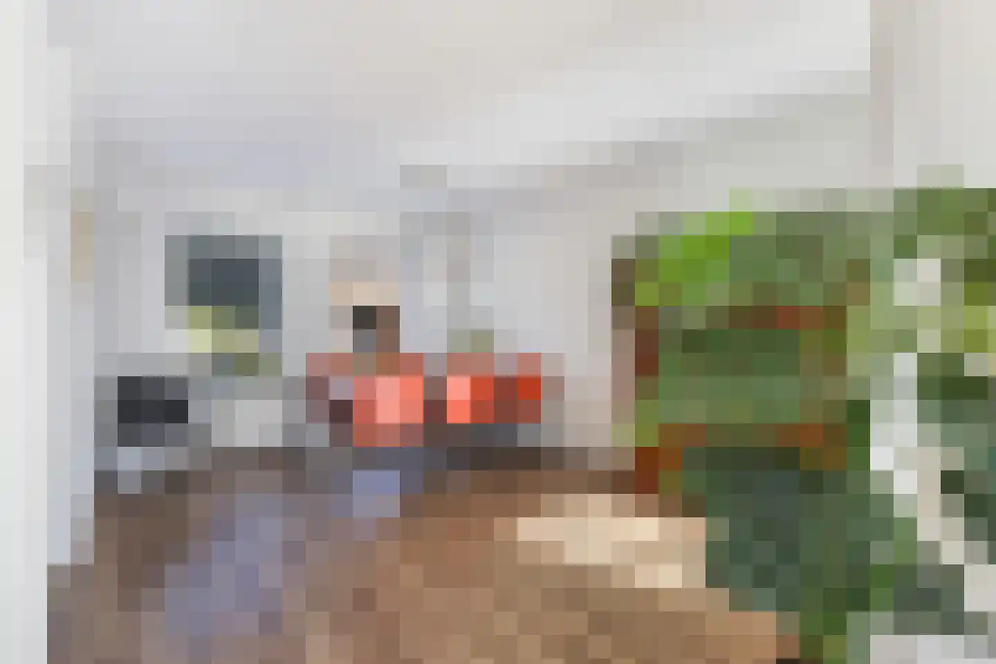 Spikhorst 45 a Renswoude thumbnail 8