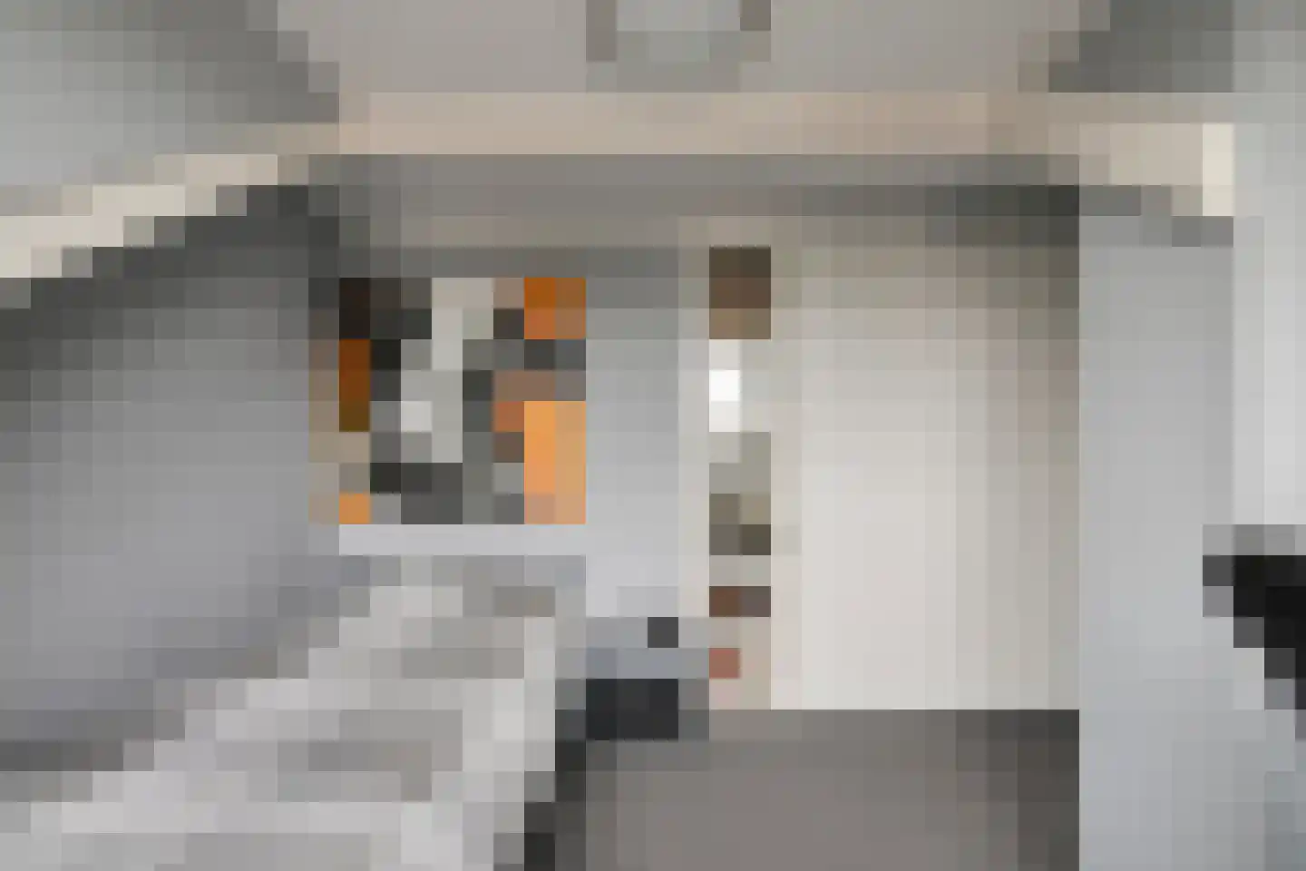 Spikhorst 9 Renswoude thumbnail 31
