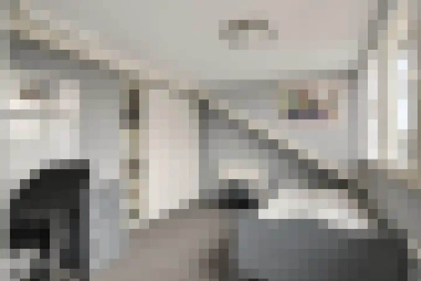 Spikhorst 9 Renswoude thumbnail 33