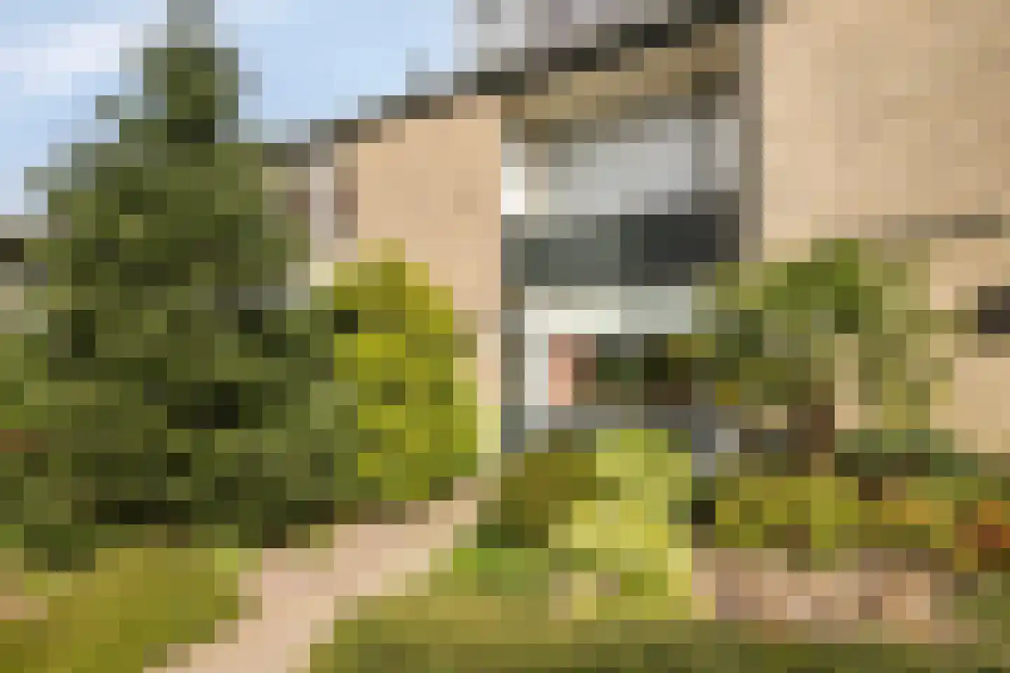 Spikhorst 9 Renswoude thumbnail 4