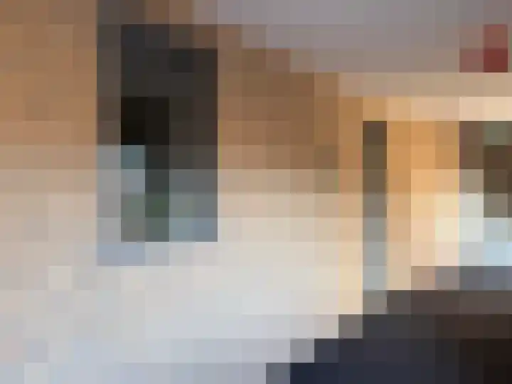 Spil 1 20 Genemuiden thumbnail 14