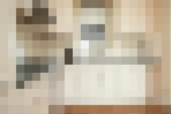 Spil 1 20 Genemuiden thumbnail 22