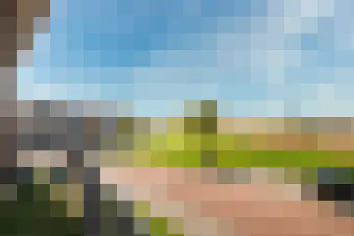 Spil 1 20 Genemuiden thumbnail 28