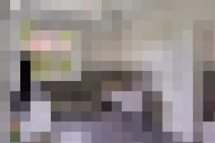 Spil 12 Schaijk thumbnail 22