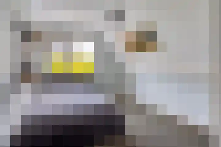 Spil 12 Schaijk thumbnail 30