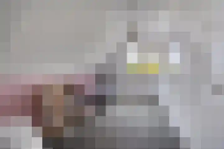Spil 12 Schaijk thumbnail 31