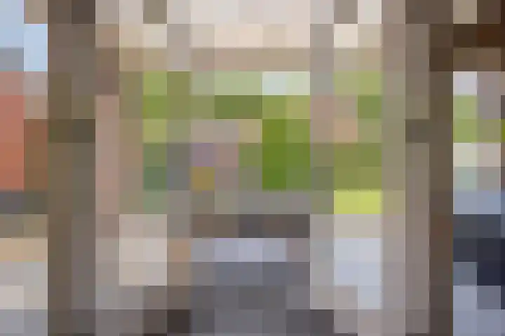 Spil 12 Schaijk thumbnail 34