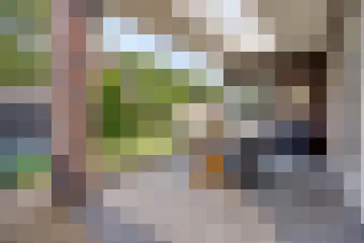 Spil 12 Schaijk thumbnail 35
