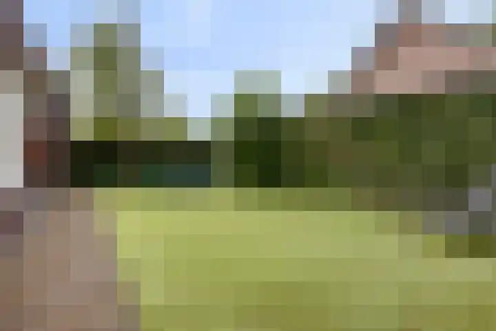 Spil 12 Schaijk thumbnail 37