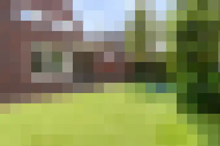 Spil 12 Schaijk thumbnail 38
