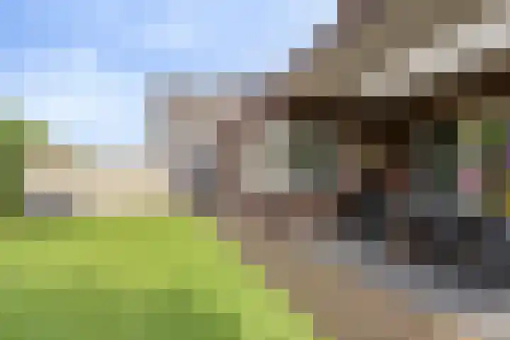 Spil 12 Schaijk thumbnail 40