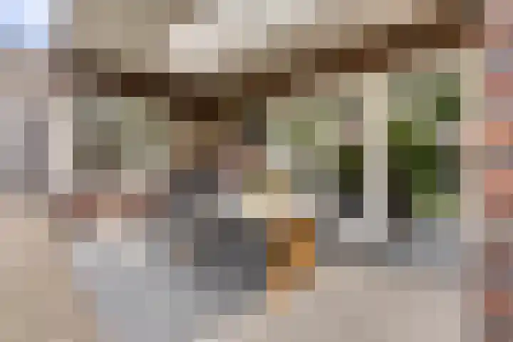 Spil 12 Schaijk thumbnail 41