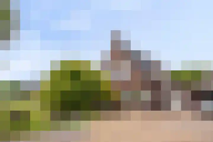 Spil 12 Schaijk thumbnail 49