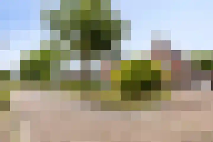 Spil 12 Schaijk thumbnail 6