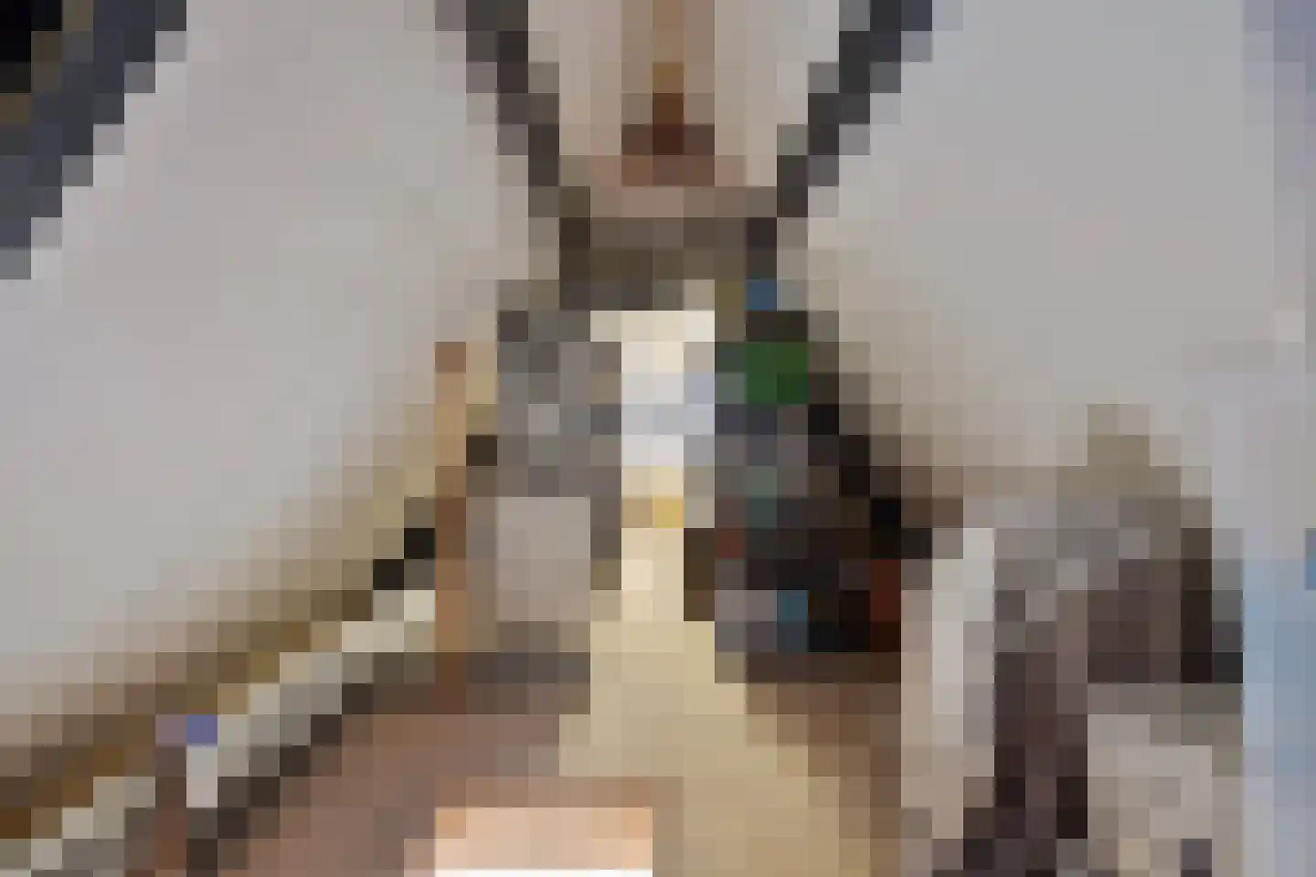 Spil 14 Schaijk thumbnail 57