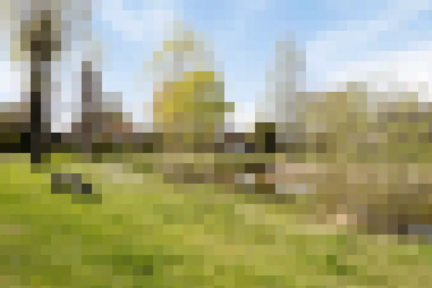 Spil 14 Schaijk thumbnail 58