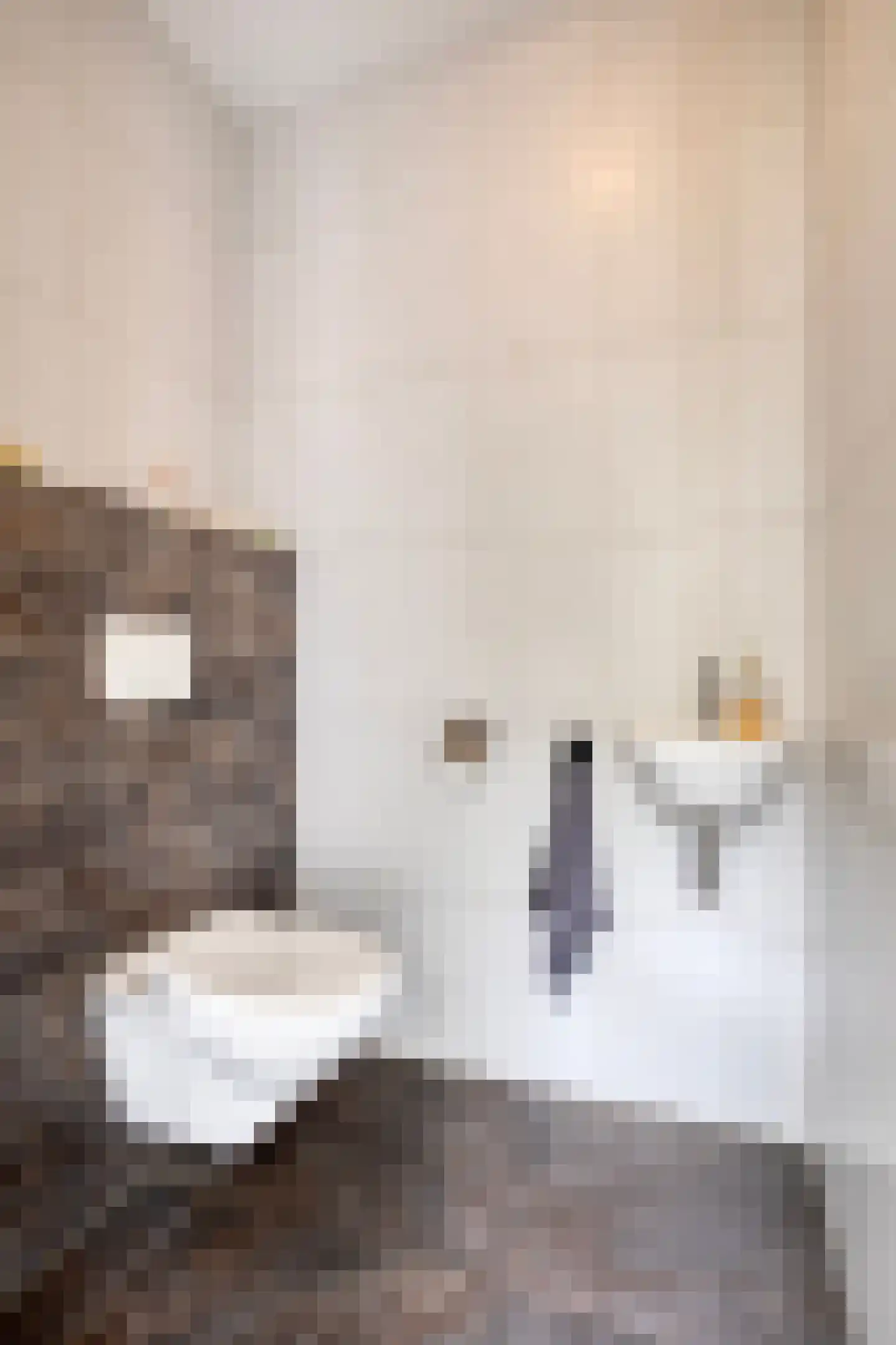 Spil 2 Schaijk thumbnail 22