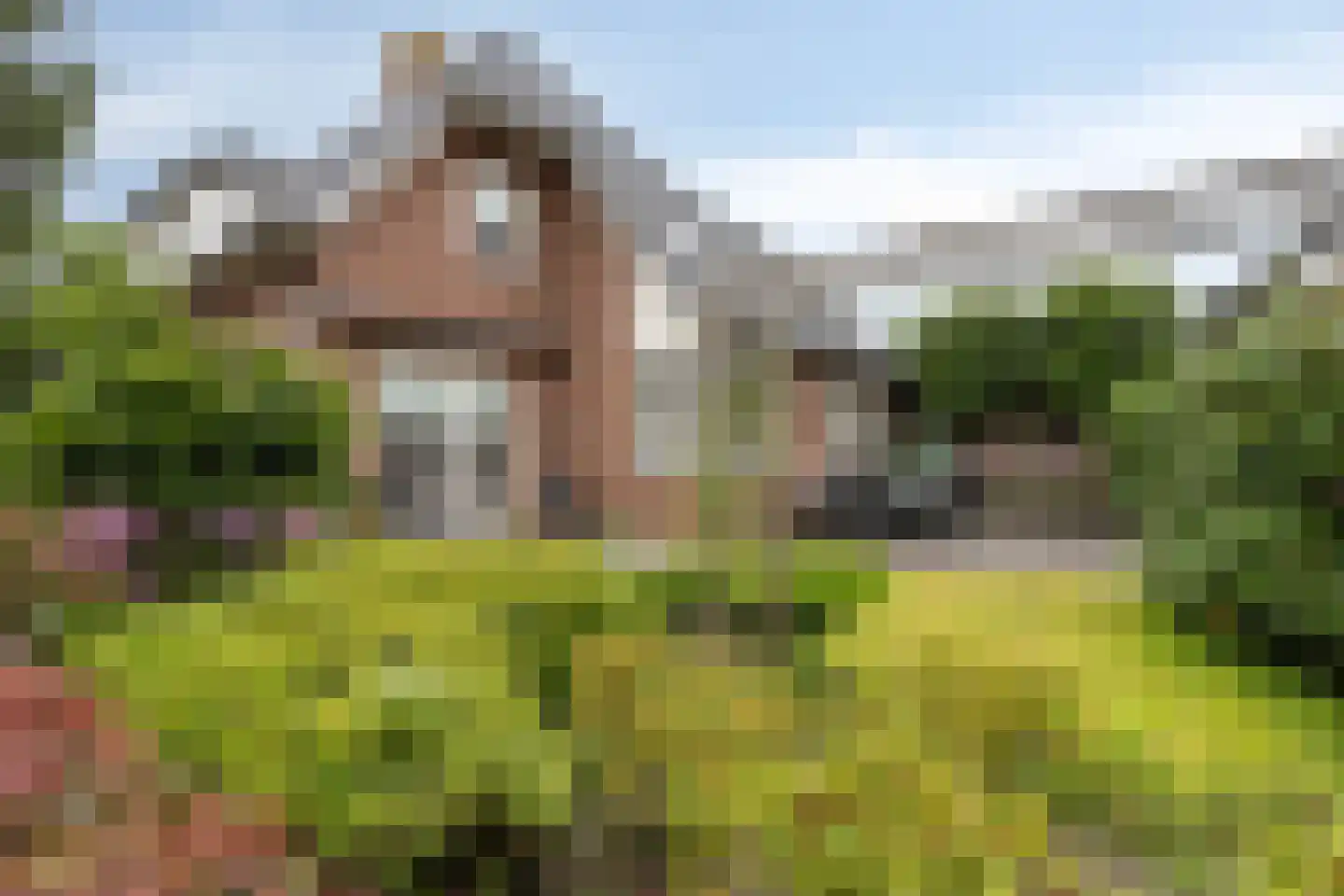Spil 2 Schaijk thumbnail 43