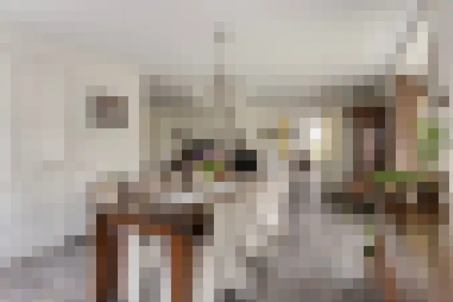 Spil 2 Schaijk thumbnail 8