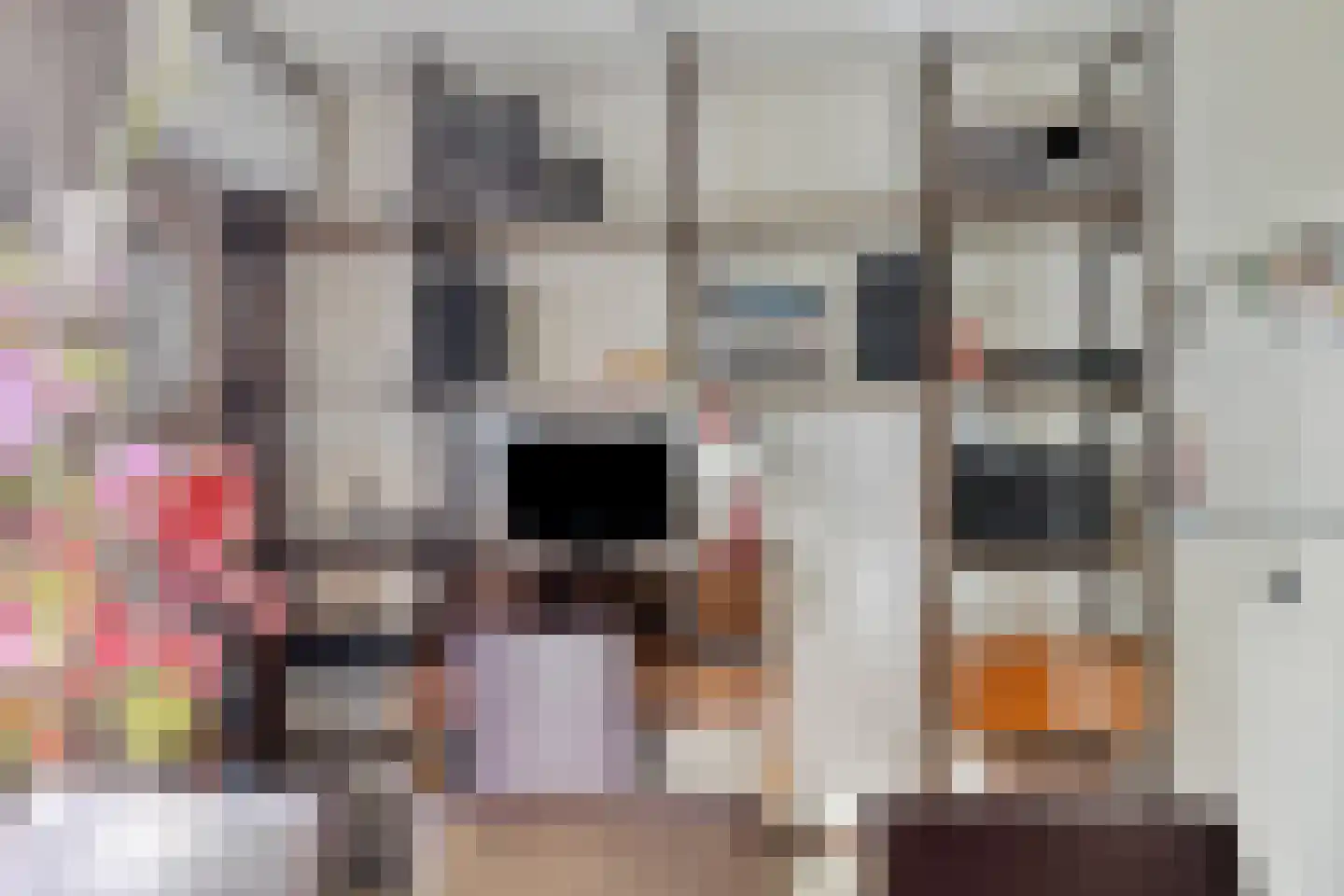 Spil 3 Schaijk thumbnail 25