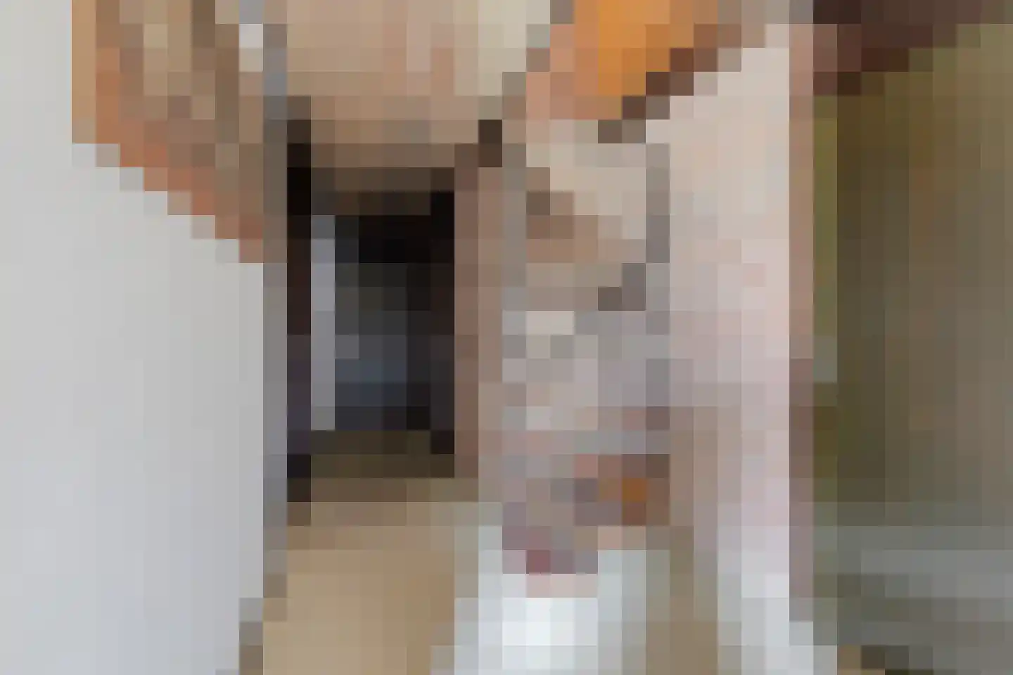 Spil 3 Schaijk thumbnail 31