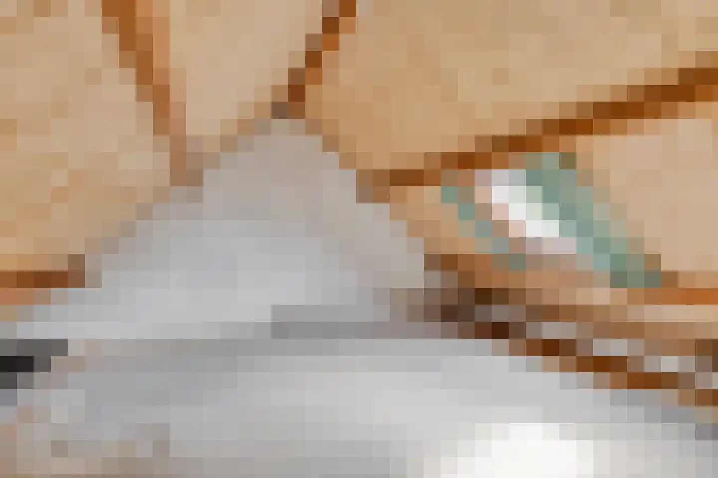 Spil 3 Schaijk thumbnail 49