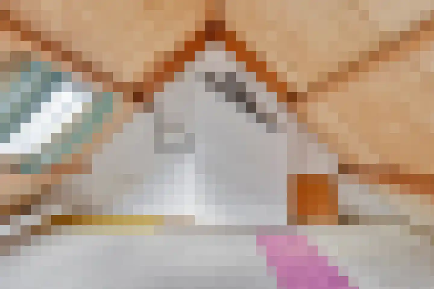 Spil 3 Schaijk thumbnail 51