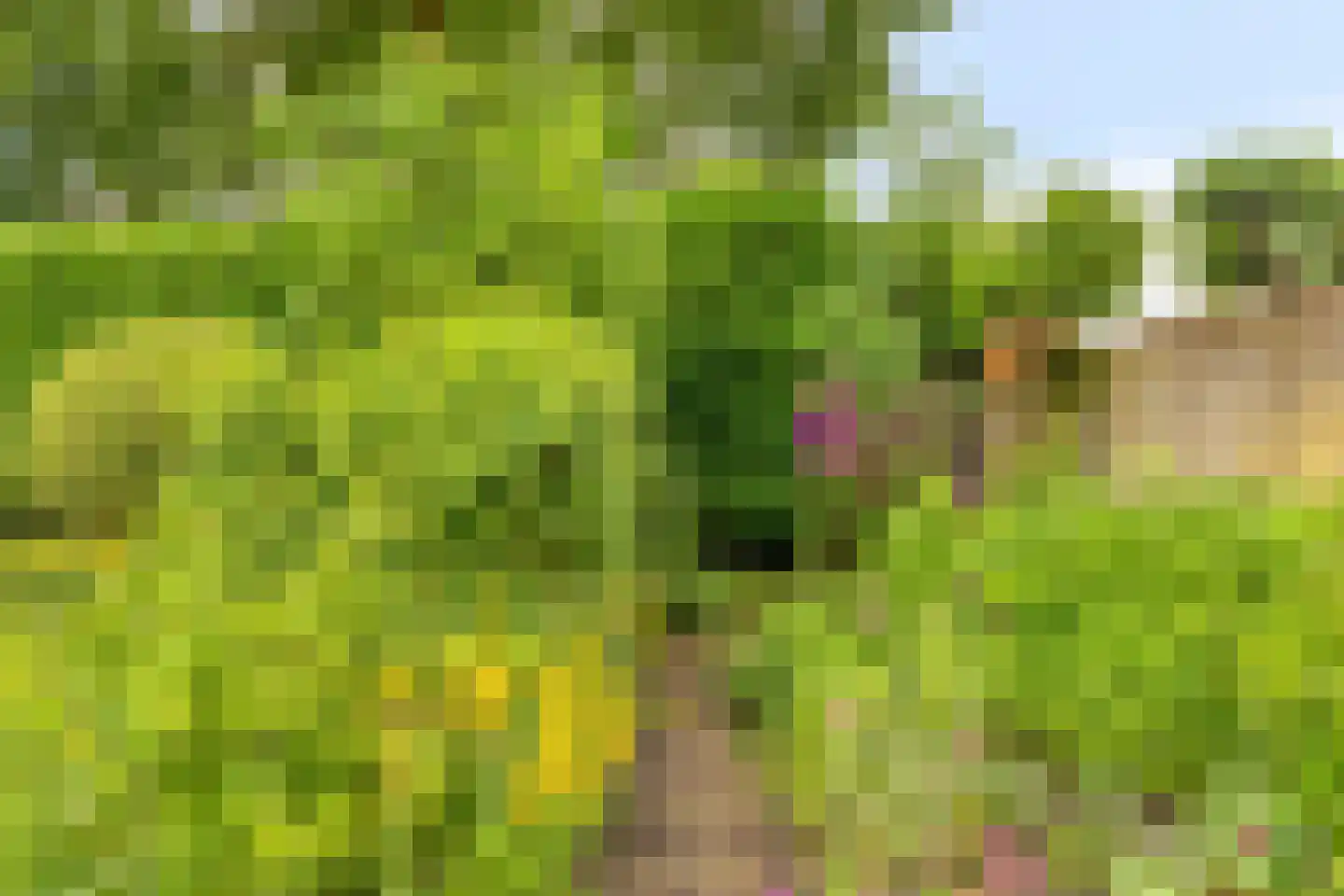 Spil 3 Schaijk thumbnail 55