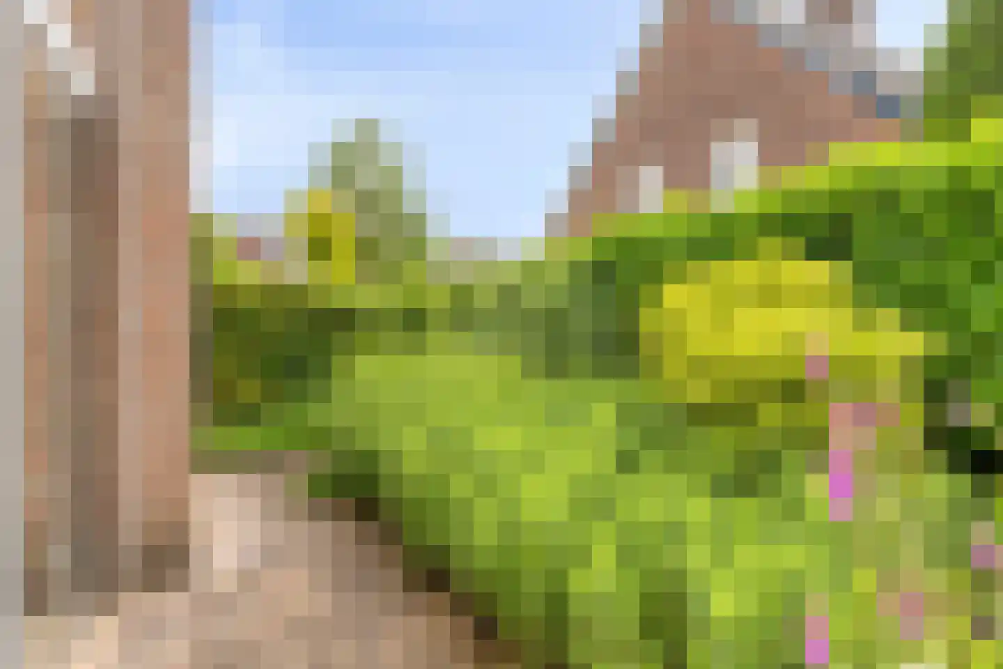 Spil 3 Schaijk thumbnail 57