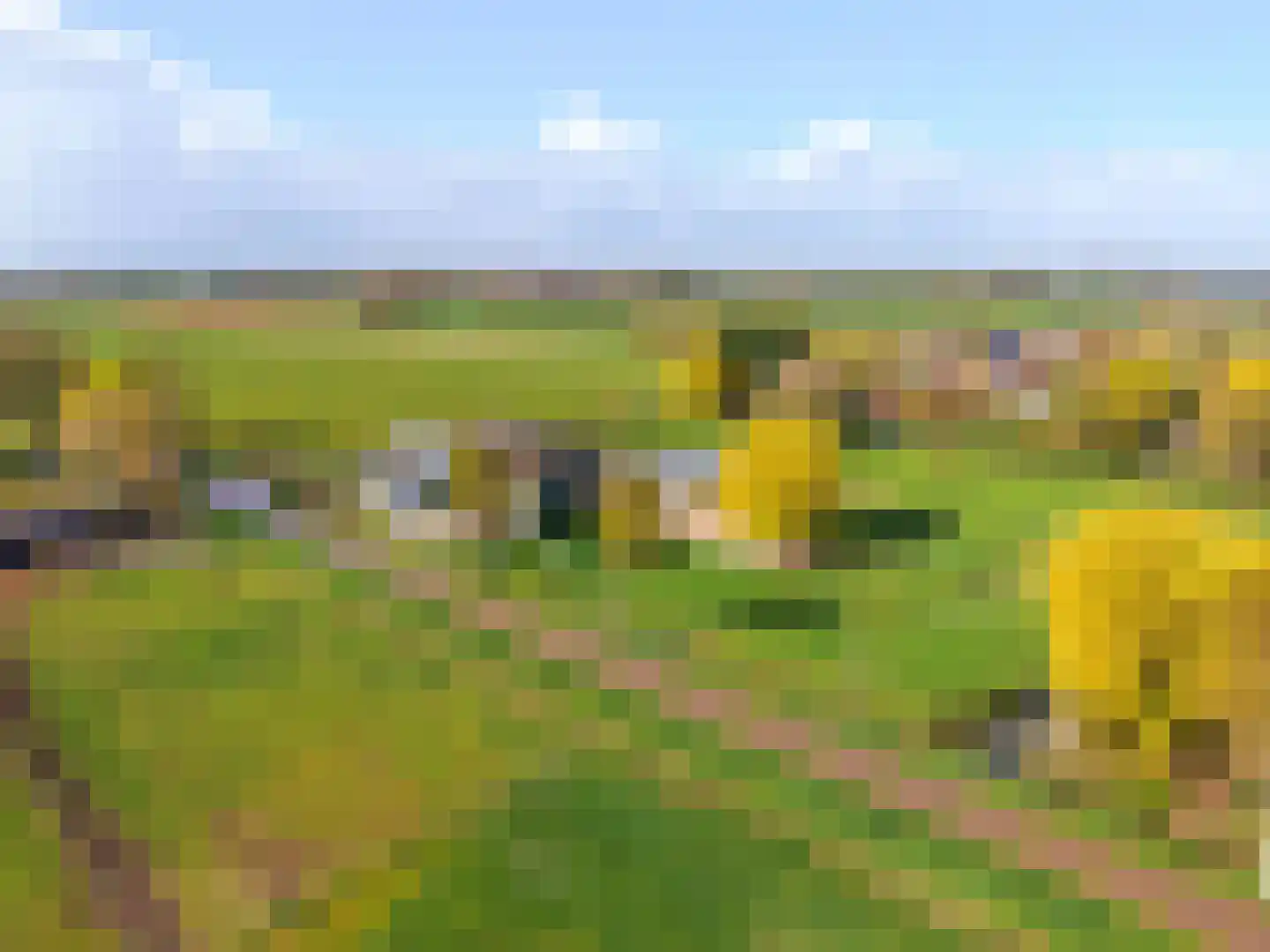 Spilbergen 2 Ommeren thumbnail 10