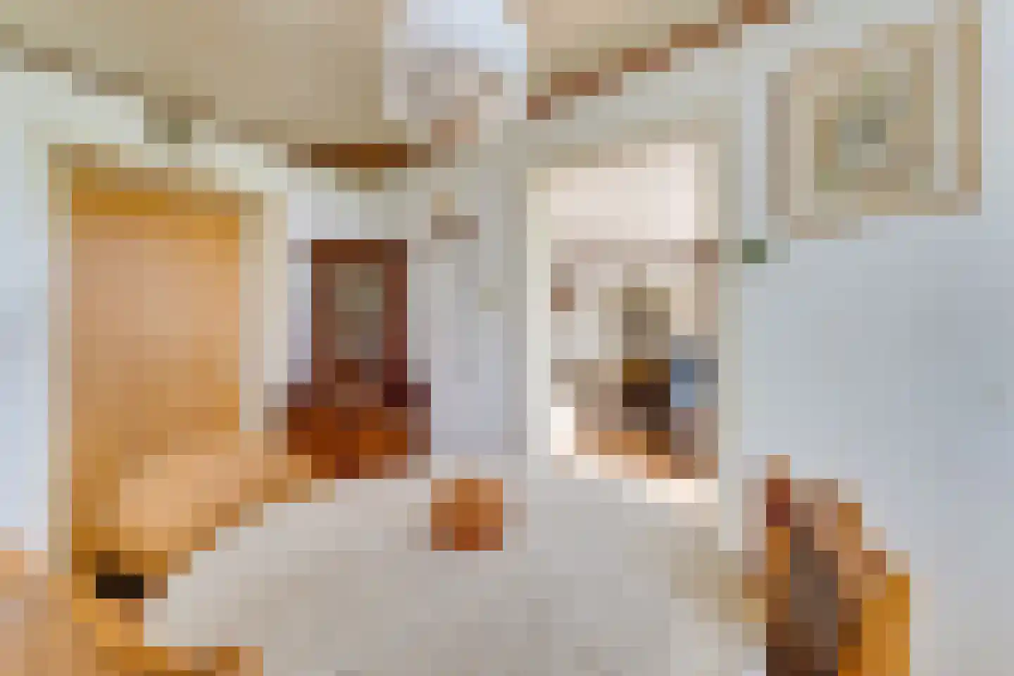 Spilbergen 2 Ommeren thumbnail 22