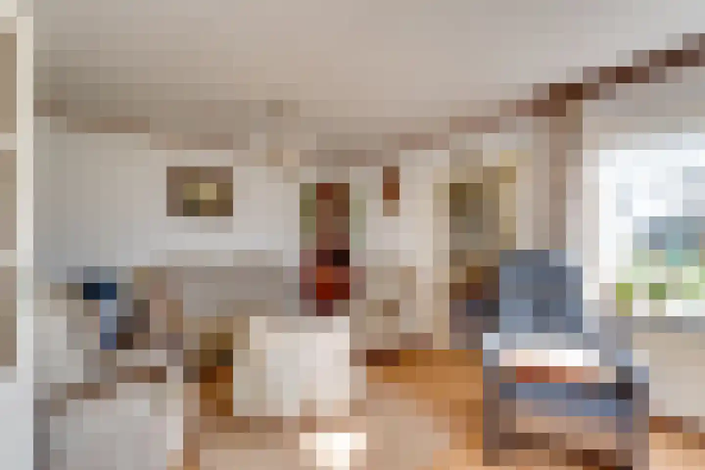 Spilbergen 2 Ommeren thumbnail 23