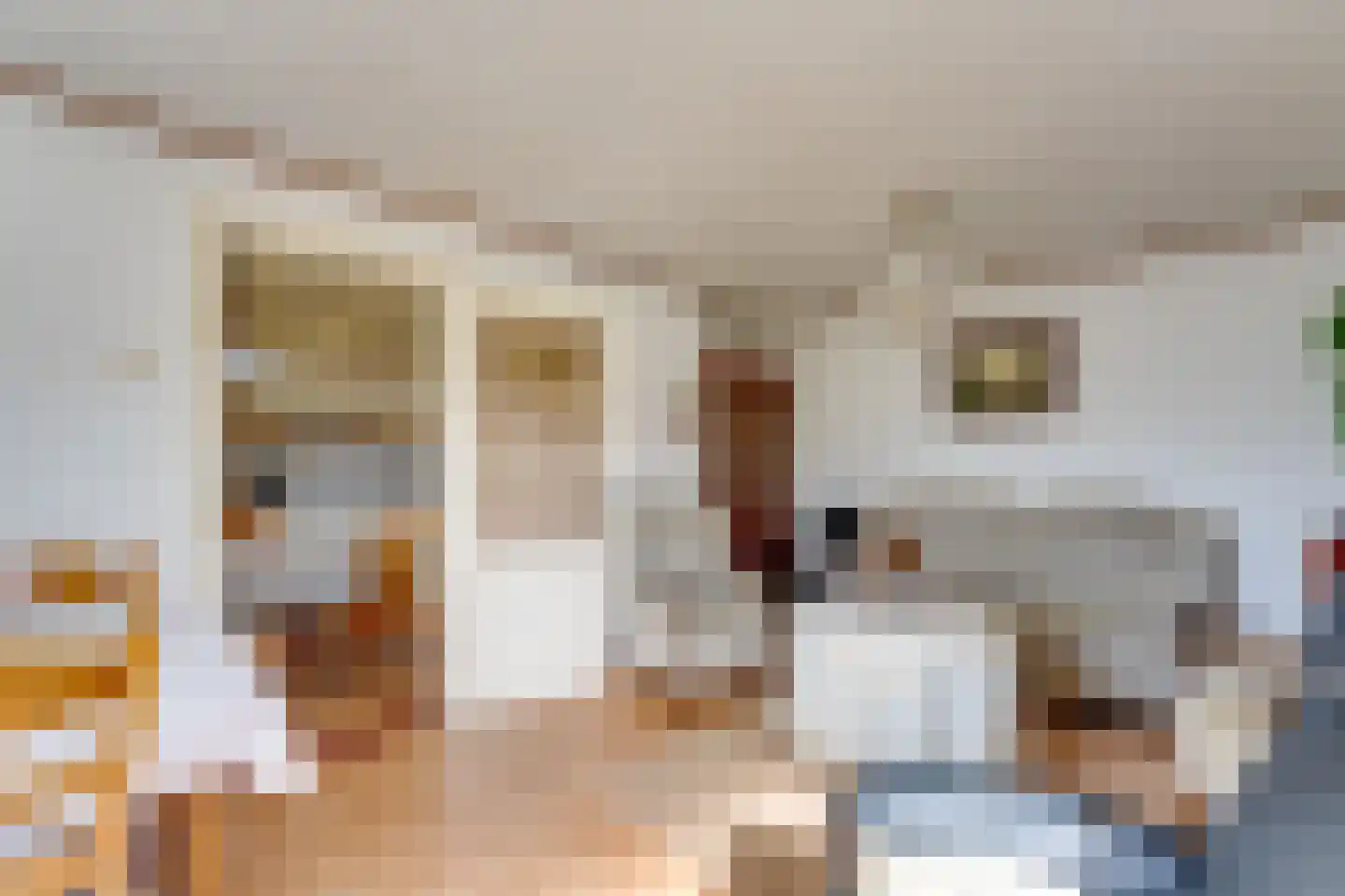 Spilbergen 2 Ommeren thumbnail 24