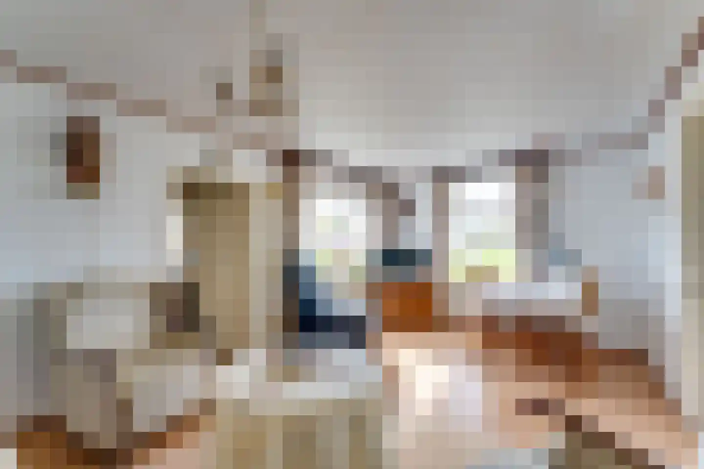 Spilbergen 2 Ommeren thumbnail 26