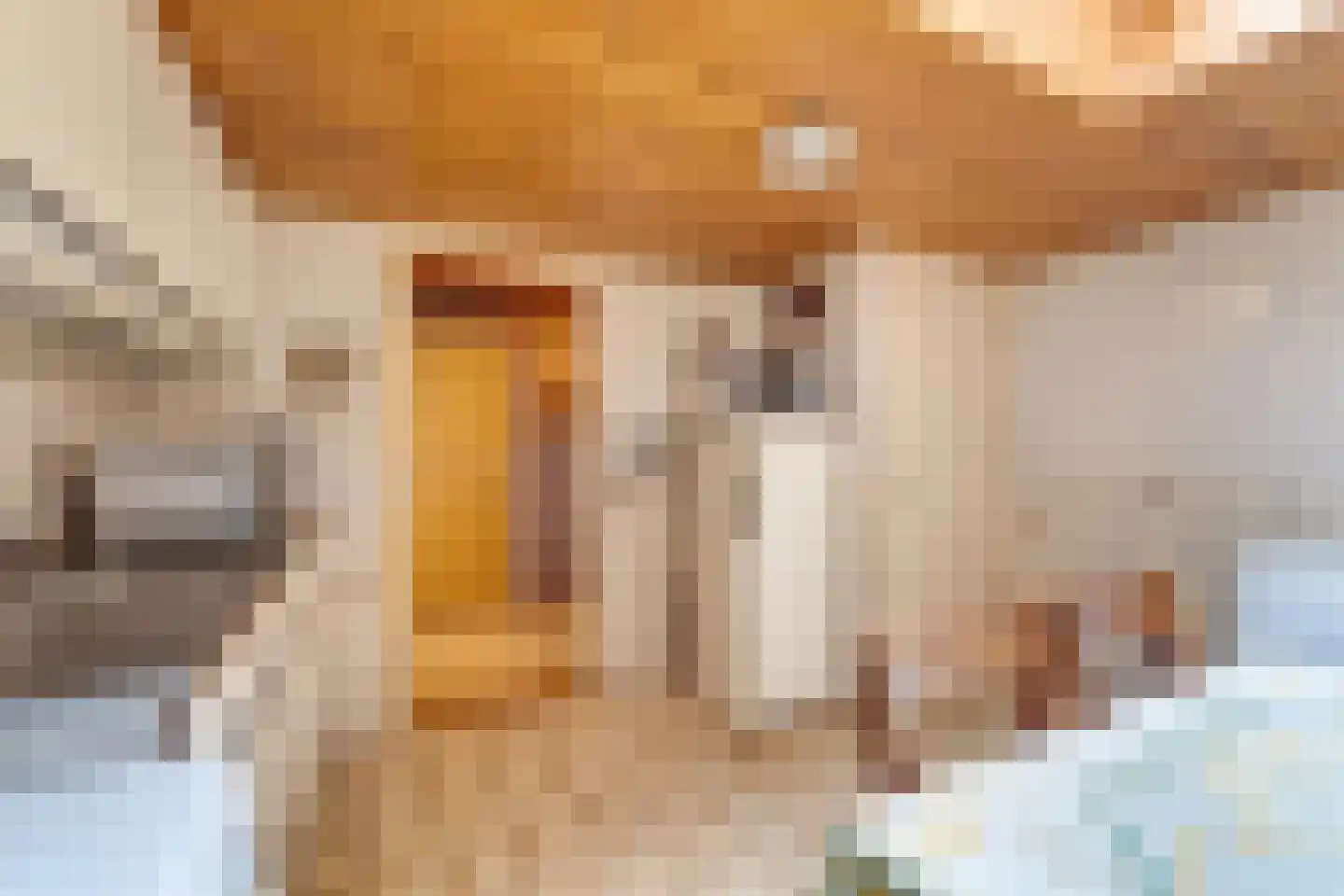 Spilbergen 2 Ommeren thumbnail 31