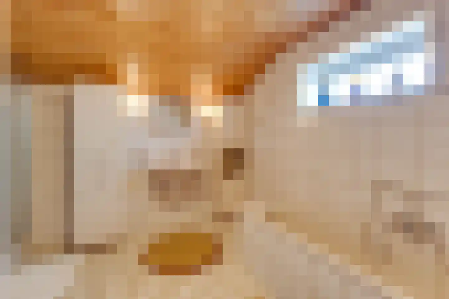 Spilbergen 2 Ommeren thumbnail 32